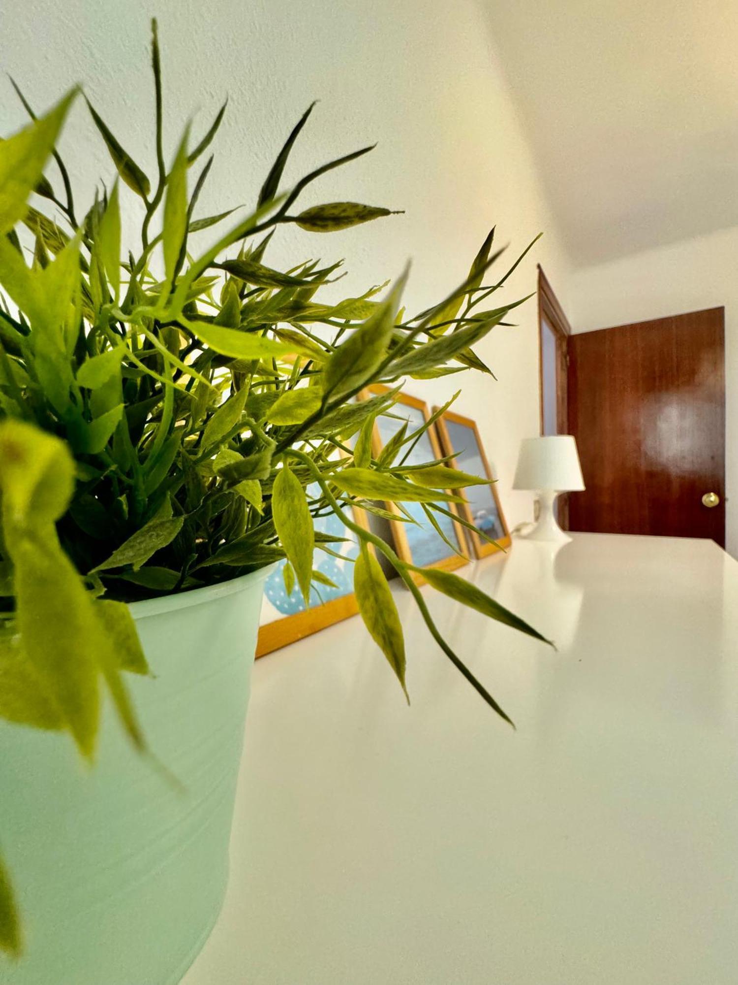Acogedor Apartamento En Malaga Ngoại thất bức ảnh